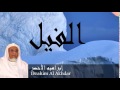 Ibrahim Al Akhdar - Surate AL-FIL