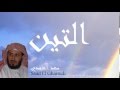 Saad El Ghamidi - Surate AT-TIN