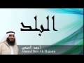 Ahmed Ben Ali Elajami - Surate AL-BALAD