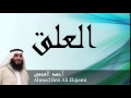 Ahmed Ben Ali Elajami - Surate AL-ALAQ