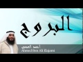 Ahmed Ben Ali Elajami - Surate AL-BOUROUJ