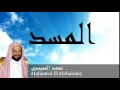 Mohamed El Mohaisany - Surate AL-MASAD