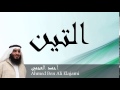 Ahmed Ben Ali Elajami - Surate AT-TIN