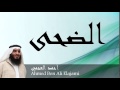 Ahmed Ben Ali Elajami - Surate AD-DOUHA