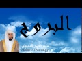 Maher Al Mueaqly - Surate AL-BOUROUJ
