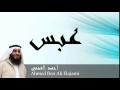 Ahmed Ben Ali Elajami - Surate ABASA