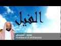Mohamed El Mohaisany - Surate AL-FIL