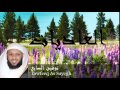 Tawfeeq As Sayegh - Surate AL-ADIYATE